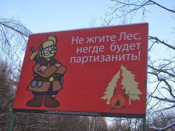 Прикольные картинки (80 фото)