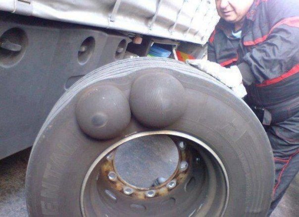 Прикольные картинки (80 фото)