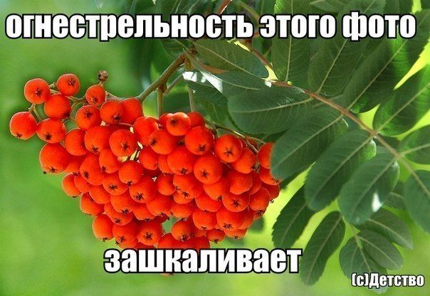 Прикольные картинки (80 фото)