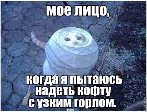 Прикольные картинки (80 фото)