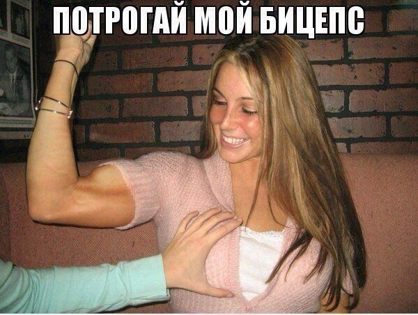 Прикольные картинки (80 фото)