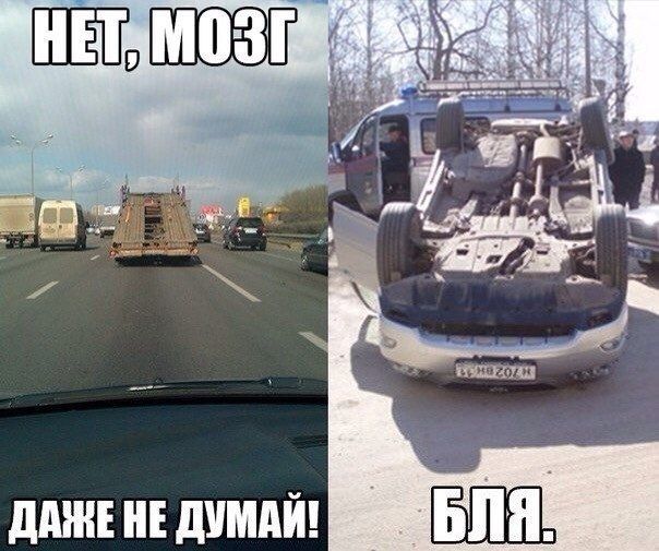 Прикольные картинки (80 фото)