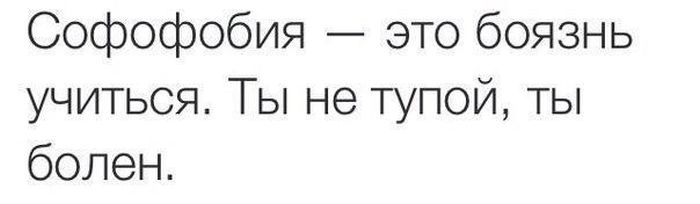Порция картинок