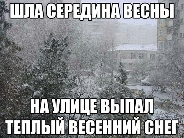 Порция картинок