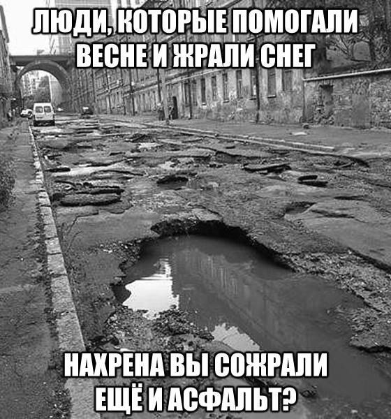 Порция картинок