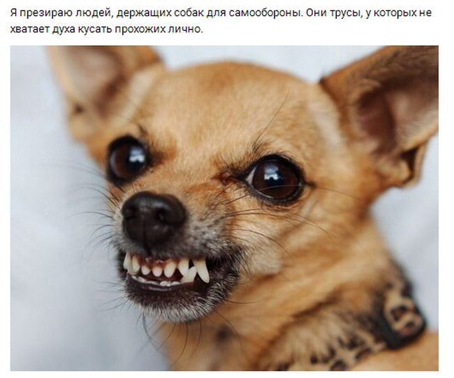 Прикольные картикни