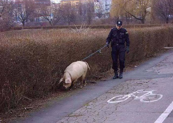 Коллекция эмоциональных снимков