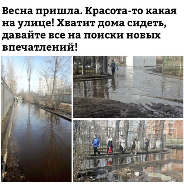 Прикольные картинки