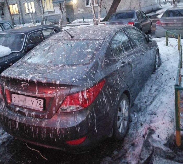 Прикольные картинки