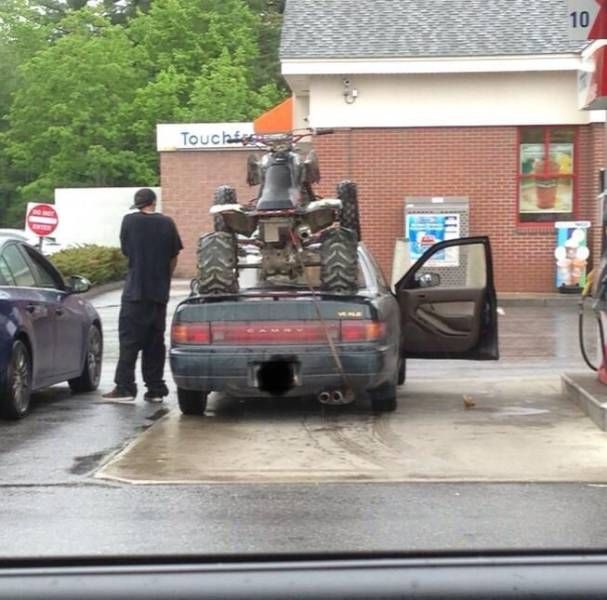 Прикольные картинки