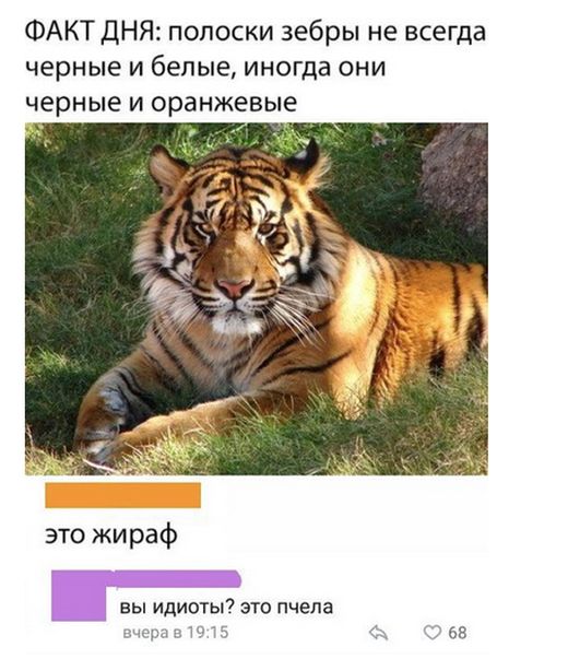 Прикольные картинки