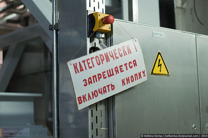 Как производят пиво в Алтайском крае Как производят пиво в Алтайском крае