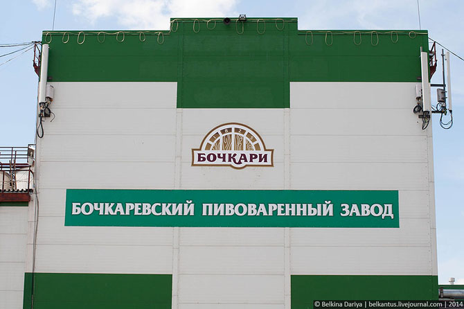 Как производят пиво в Алтайском крае Как производят пиво в Алтайском крае