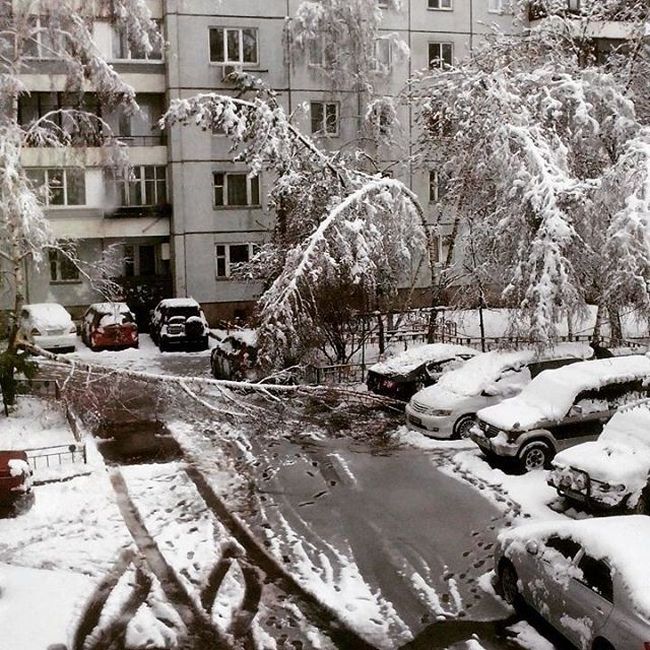 Последствия сильного снегопада в Красноярске