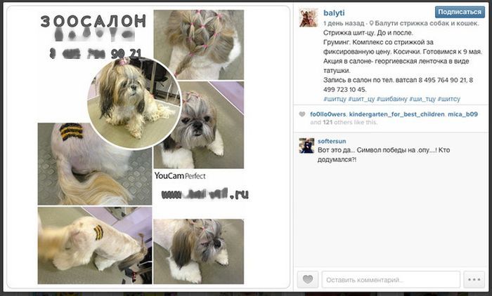 Казусы, связанные с Днем Победы