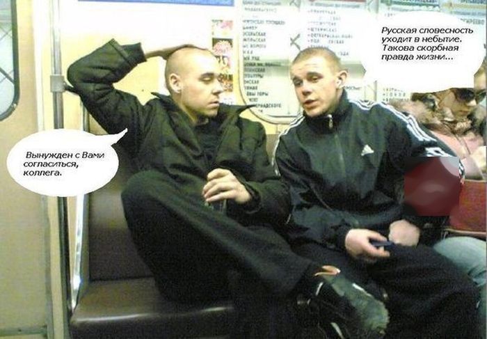 Прикольные картинки