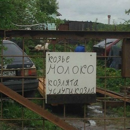 Любой каприз за ваши деньги!