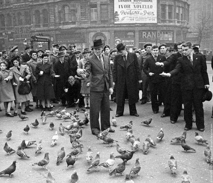 Подборка редких фотографий со всего мира