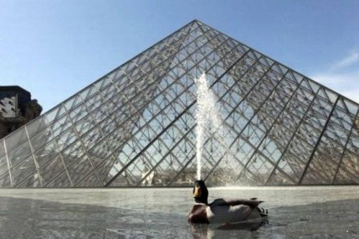 Фото, сделанные в самый подходящий момент
