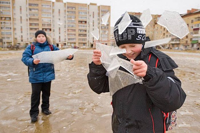 Фото, сделанные в самый подходящий момент
