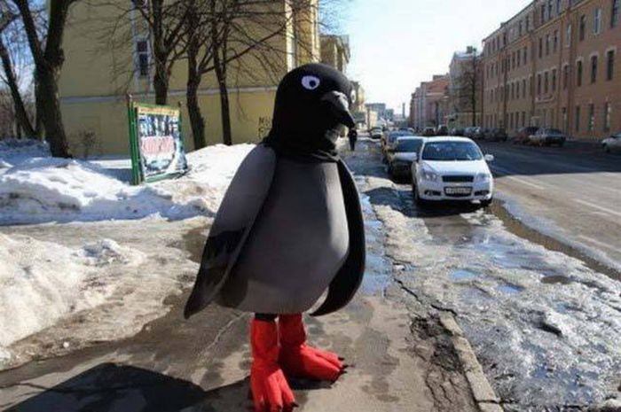 Смех сквозь слезы или подборка российского юмора