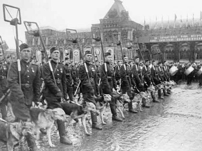 Интересные факты о параде Победы 24 июня 1945 года Интересные факты о параде Победы 24 июня 1945 года