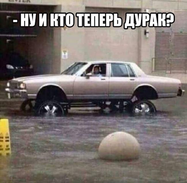 Прикольные картинки