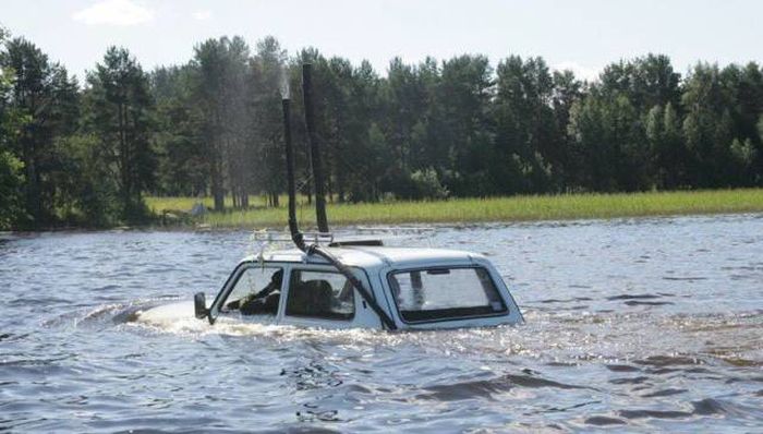 Прикольные картинки