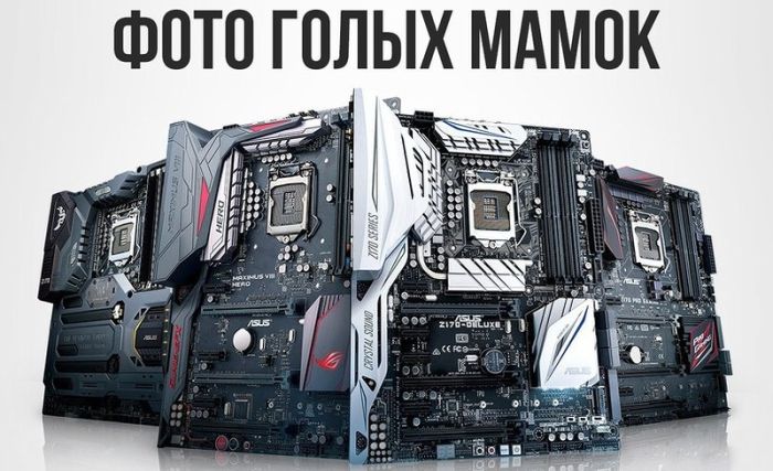 Прикольные картинки