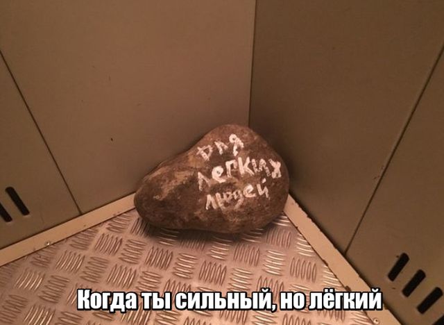 Прикольные картинки