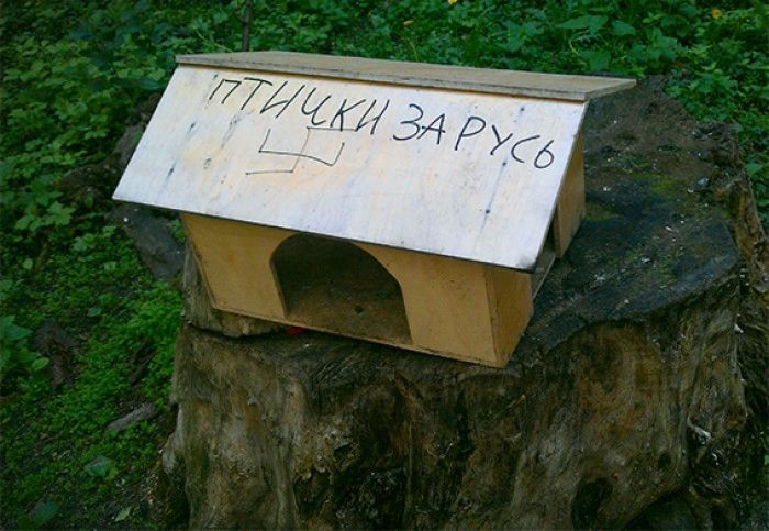Народные маразмы