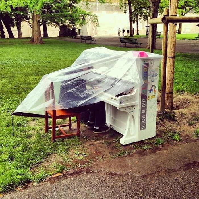 Прикольные картинки