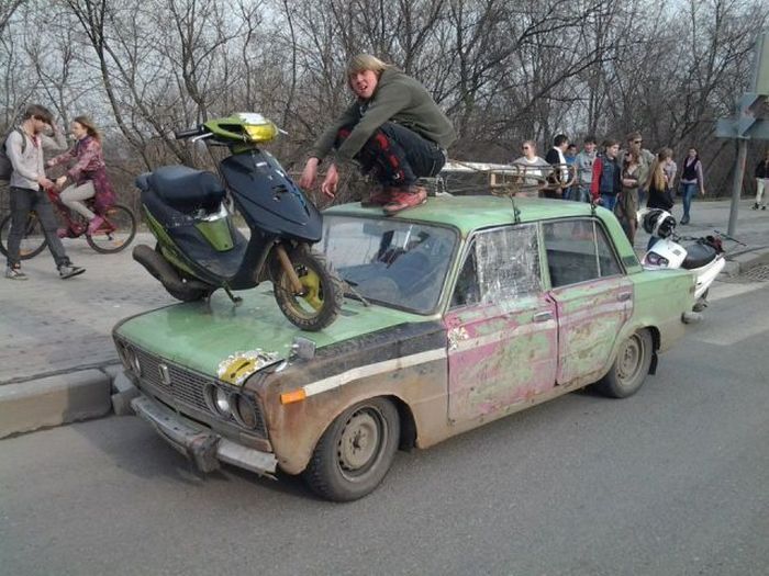 Прикольные картинки