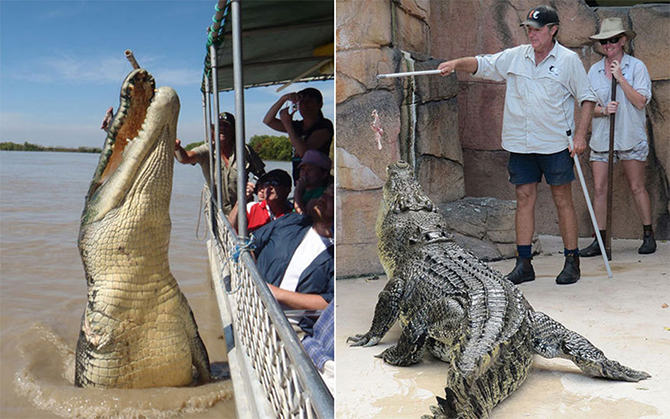 10 смертельно опасных профессий 10 смертельно опасных профессий