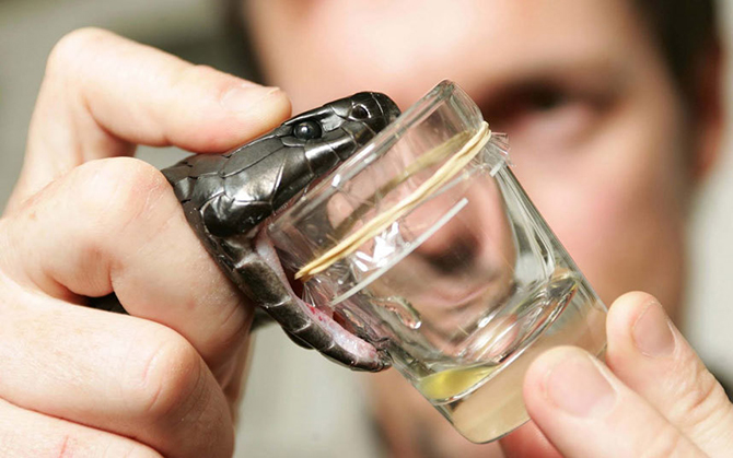 10 смертельно опасных профессий 10 смертельно опасных профессий