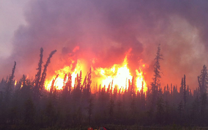 10 смертельно опасных профессий 10 смертельно опасных профессий