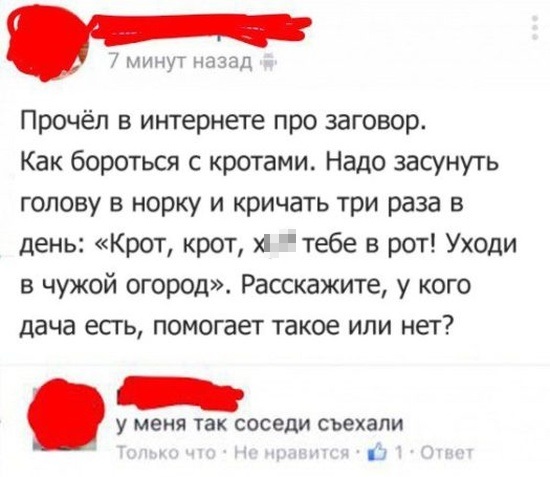 Смешные комментарии из социальных сетей