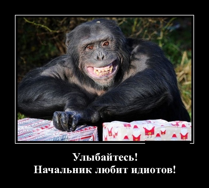 Демотиваторы