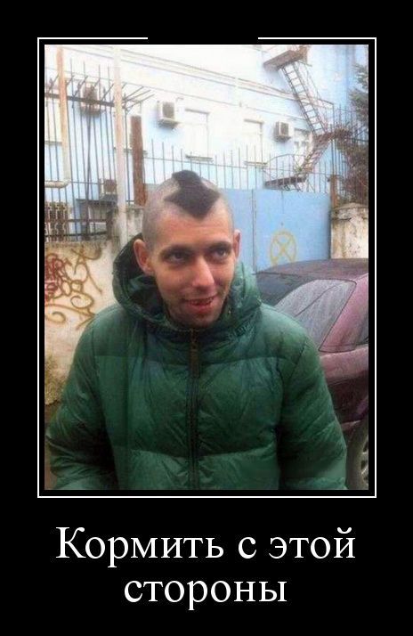 Демотиваторы