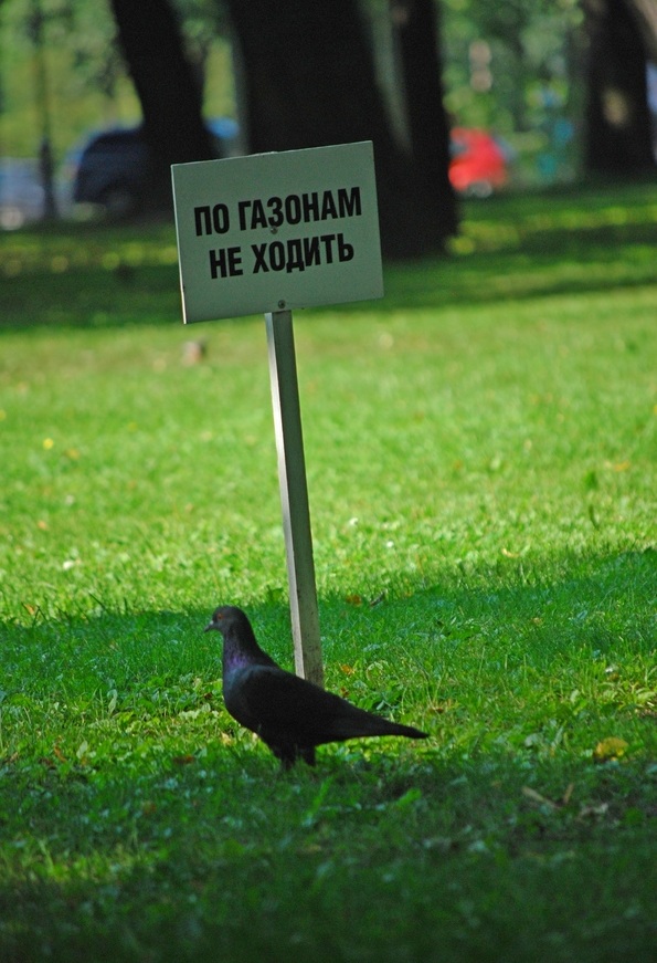 Бунтари идут против системы