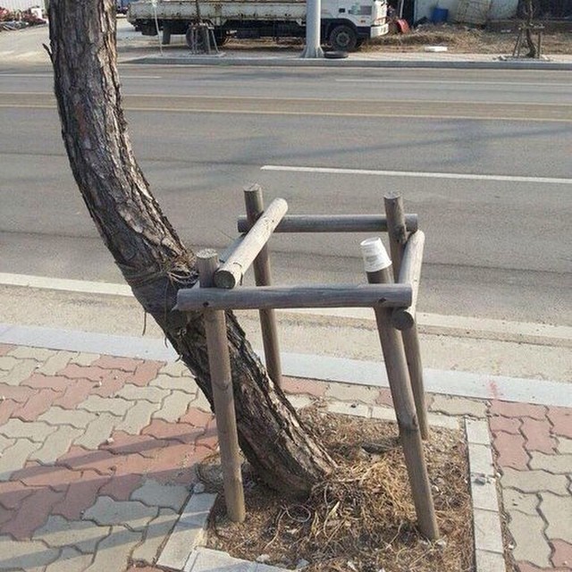 Бунтари идут против системы