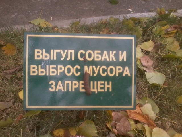 Бунтари идут против системы