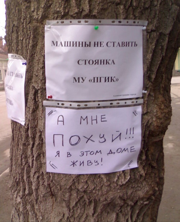 Бунтари идут против системы