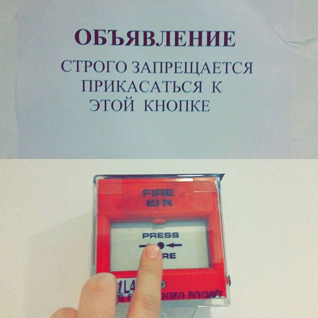 Бунтари идут против системы