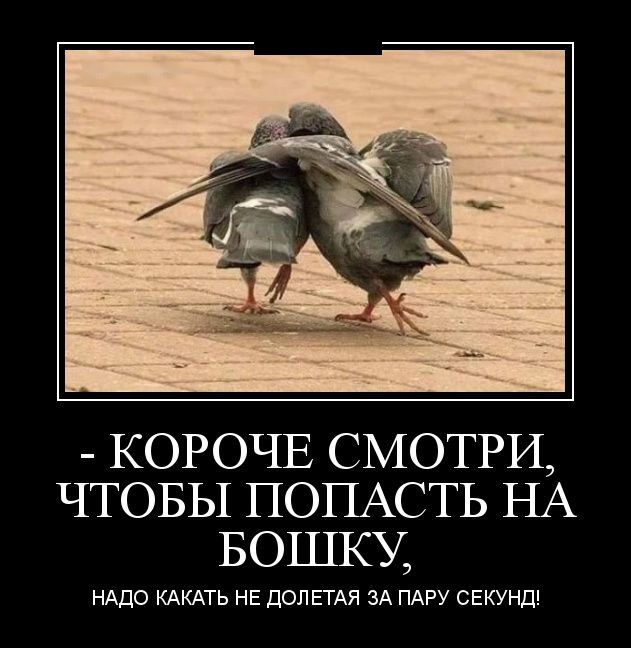 Демотиваторы