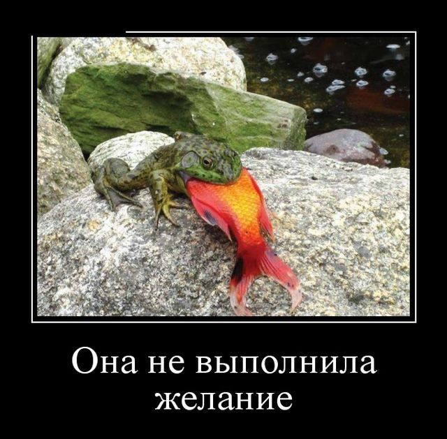 Демотиваторы