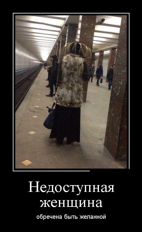 Демотиваторы
