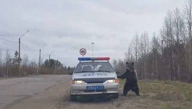 Странные и необычные фотографии с наших просторов
