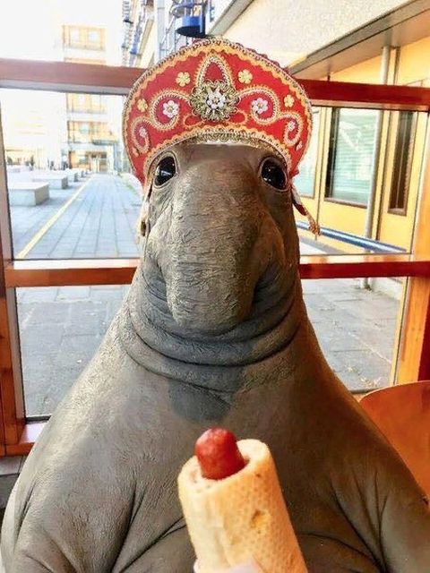 Странные и необычные фотографии с наших просторов