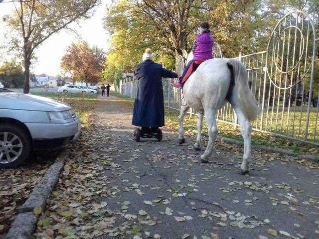 Прикольные картинки
